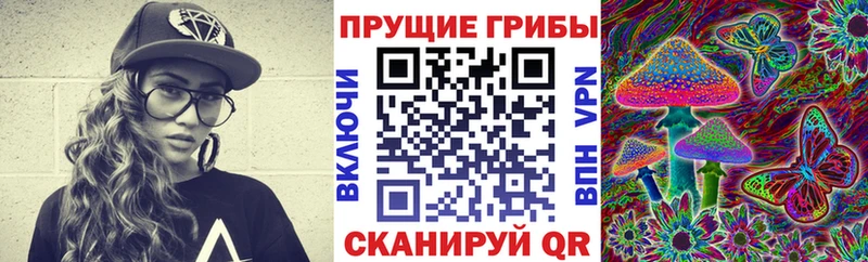 Псилоцибиновые грибы MAGIC MUSHROOMS  Купить где  Починок 